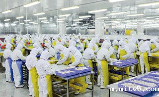 食品星空体育网页版网址_食品星空体育网页版网址生产厂家